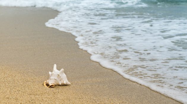 Polisman drunknade i tjänsten, värmeböljan ger högre saltproduktion, gift par drunknade på La Mata-stranden, överklagande av höghus i Torrevieja